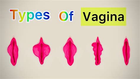 vulva Search